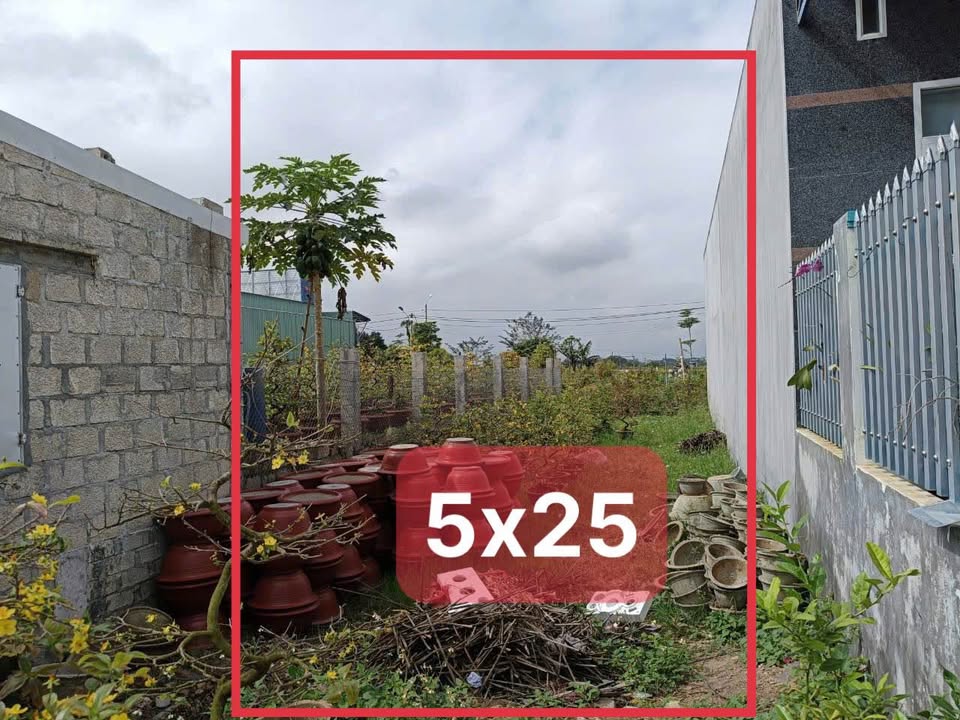 Đất Vàng Trung Định - An Nhơn 125m² Đối Diện Công Viên, Cạnh QL1A