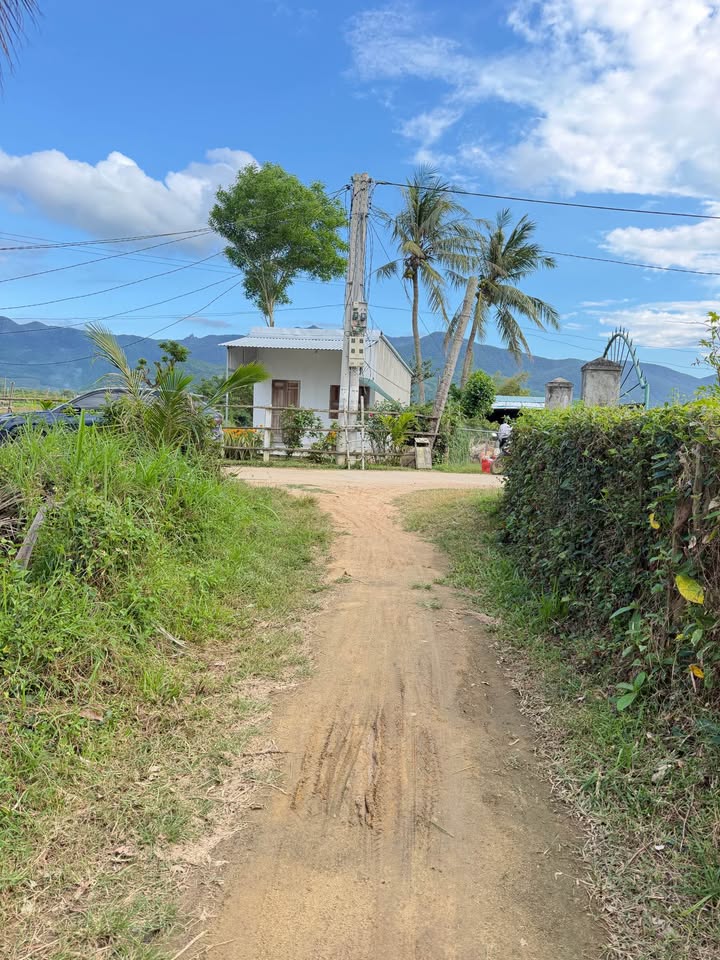 Đất nền Vạn Ninh 2 Phù Mỹ 421m² - Đường to ô tô, pháp lý rõ ràng!