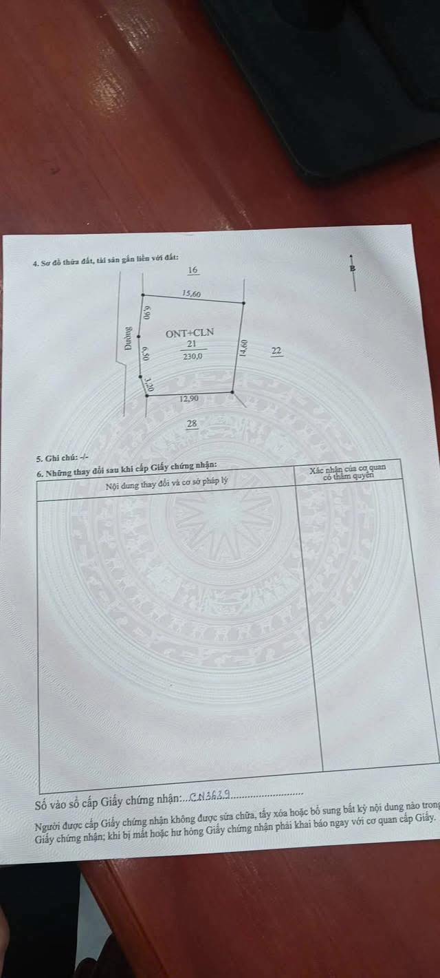 Đất Nền Bình Giang - 240m² Sổ Đỏ, Ô Tô Tải Vào Tận Nơi, Giá 1.2 Tỷ