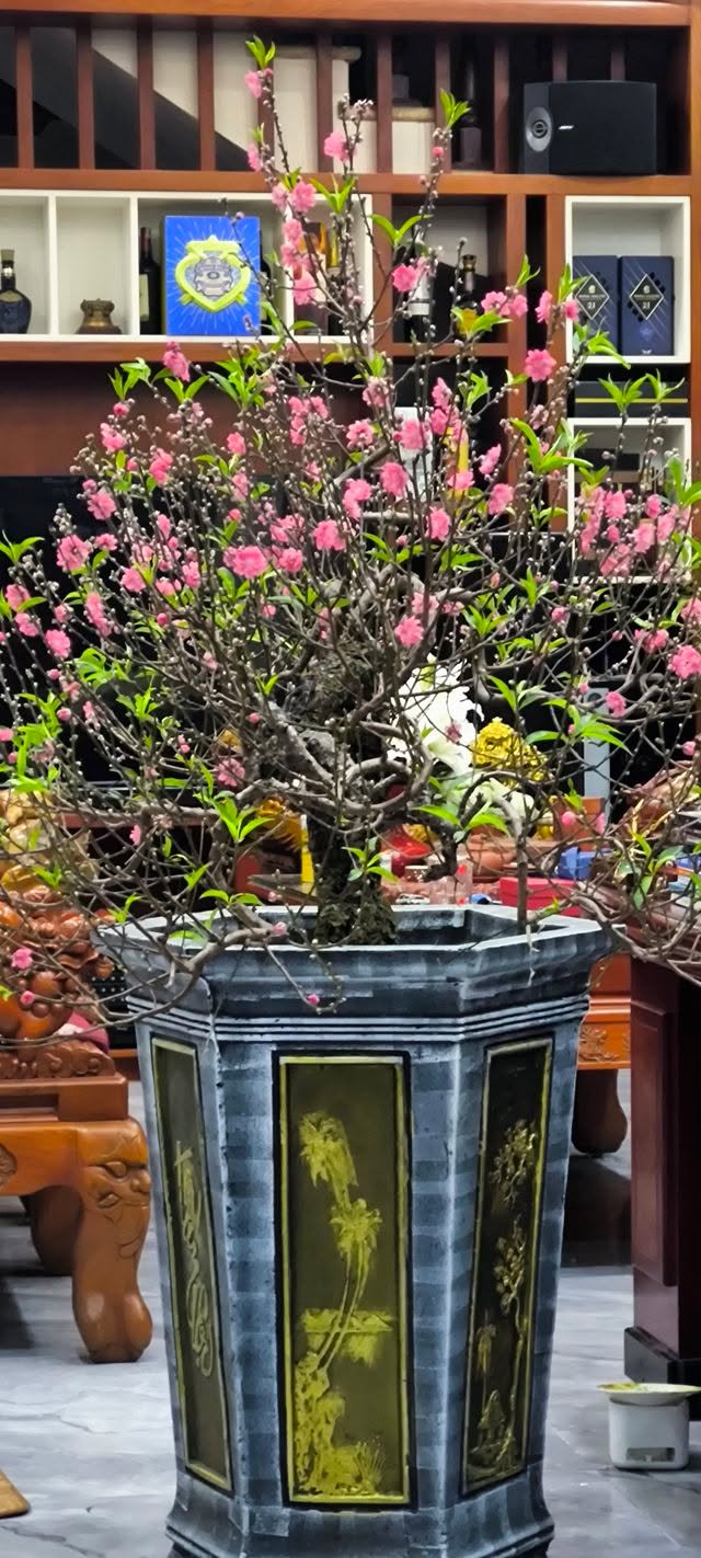 Đất nền Việt Trì 94m² giá 3.2 tỷ - Sổ đỏ chính chủ, tặng nhà 2 tầng