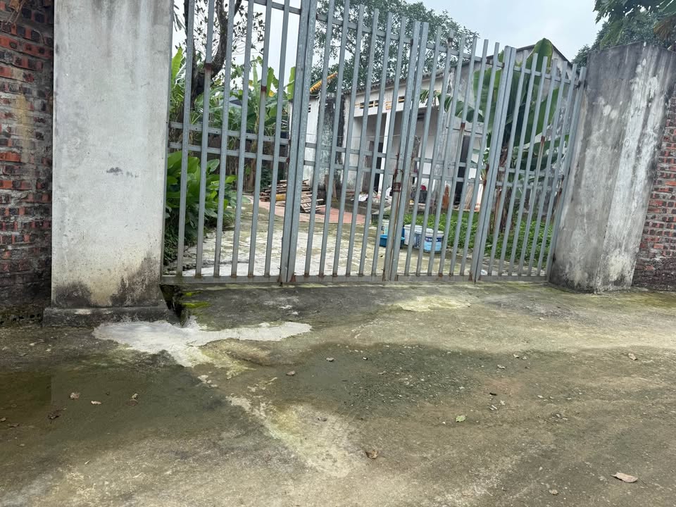 Đất nền Thị trấn Hợp Châu Tam Đảo 580m² - Tiềm năng tăng giá vượt trội!