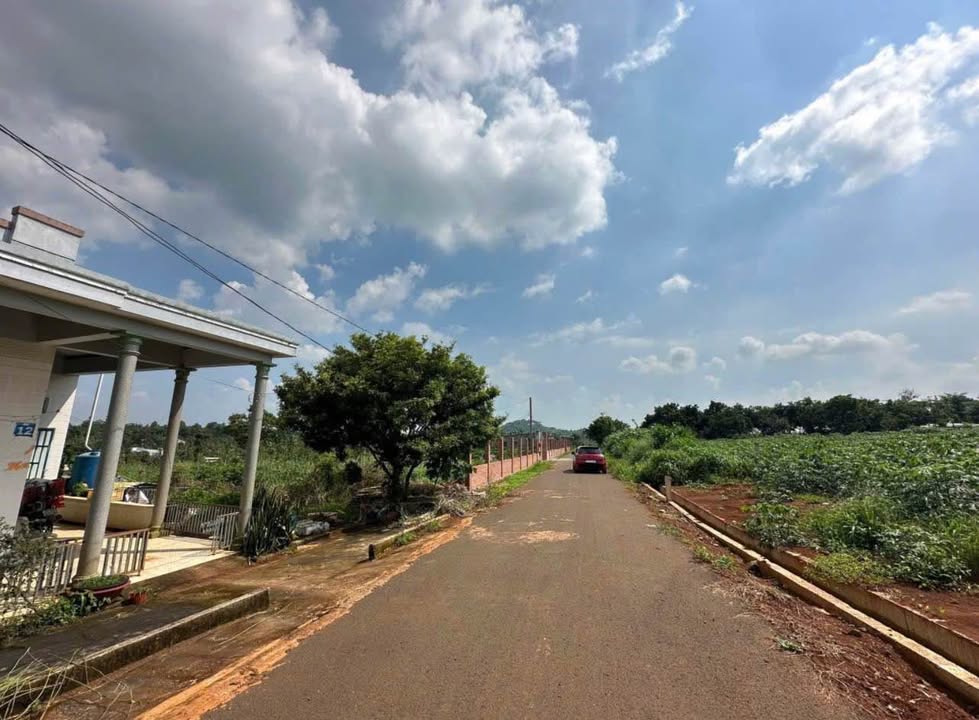 Đất nền Tân Phú 980m² giá 1.25 tỷ - Sổ đỏ chính chủ, ô tô vào tận nơi!