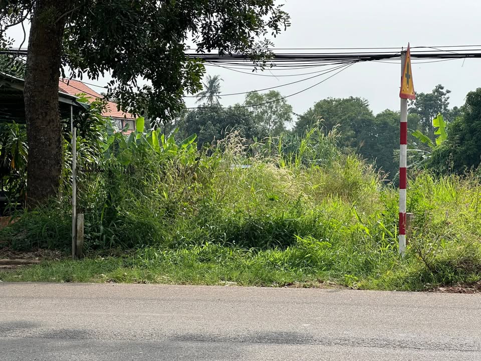 Bán đất mặt tiền QL56, Châu Đức 640m² - Gần KCN Sonadezi, Kinh doanh đắc lợi