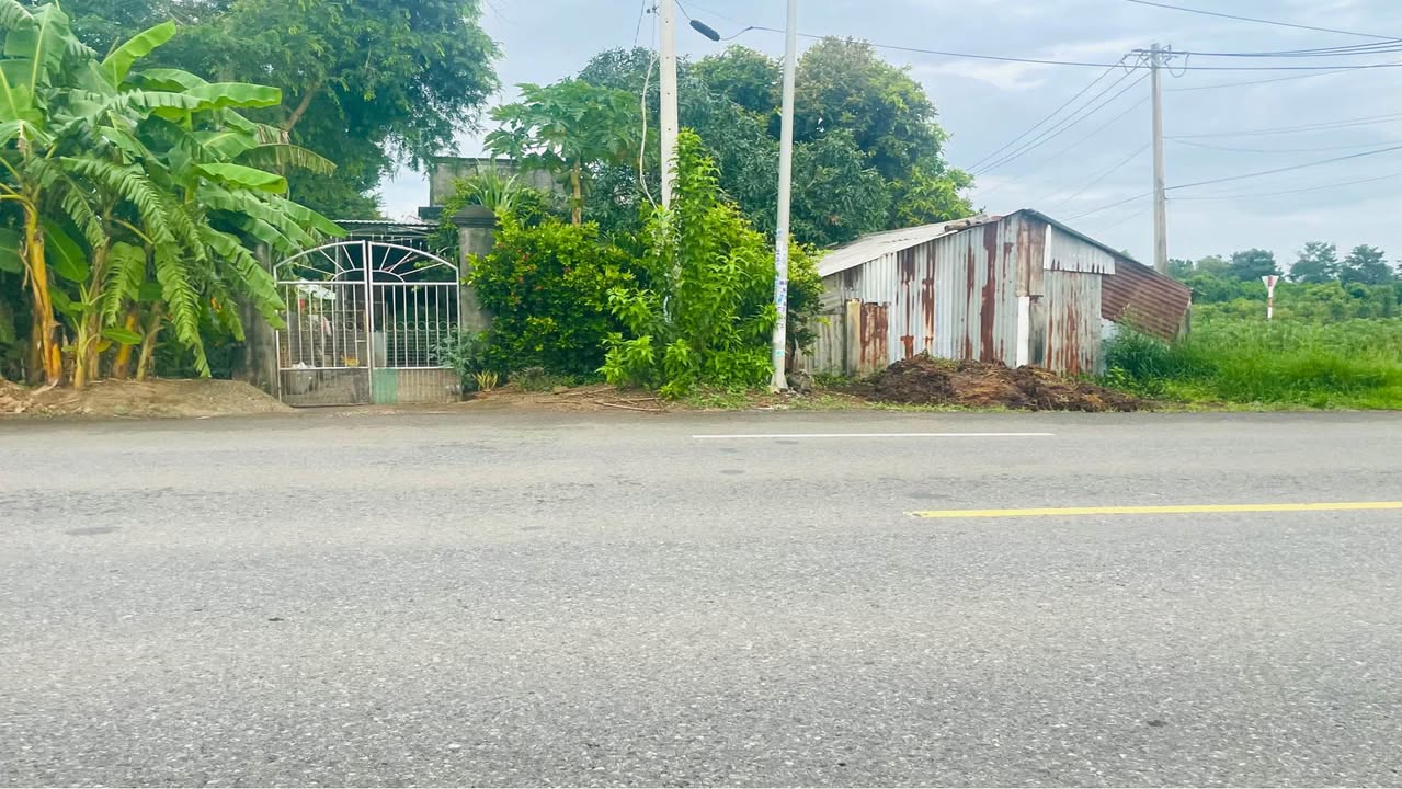 Đất nền Xã Long Tân, Long Đất 480m² - Đất thổ cư 100%!