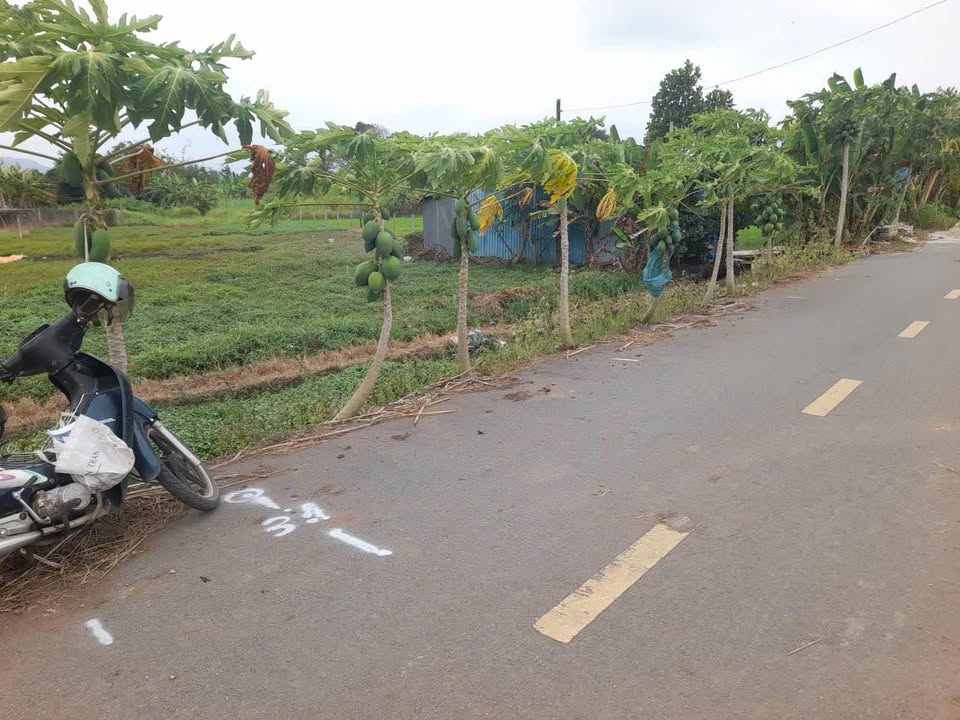 Bán Đất Vườn Bà Rịa 3800m² - Mặt Tiền Rộng 57m - Sổ Riêng