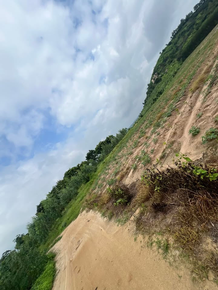 Đất vườn Tân Đức, Hàm Tân 160.000m² - Sinh thái xanh, ô tô vào tận nơi!