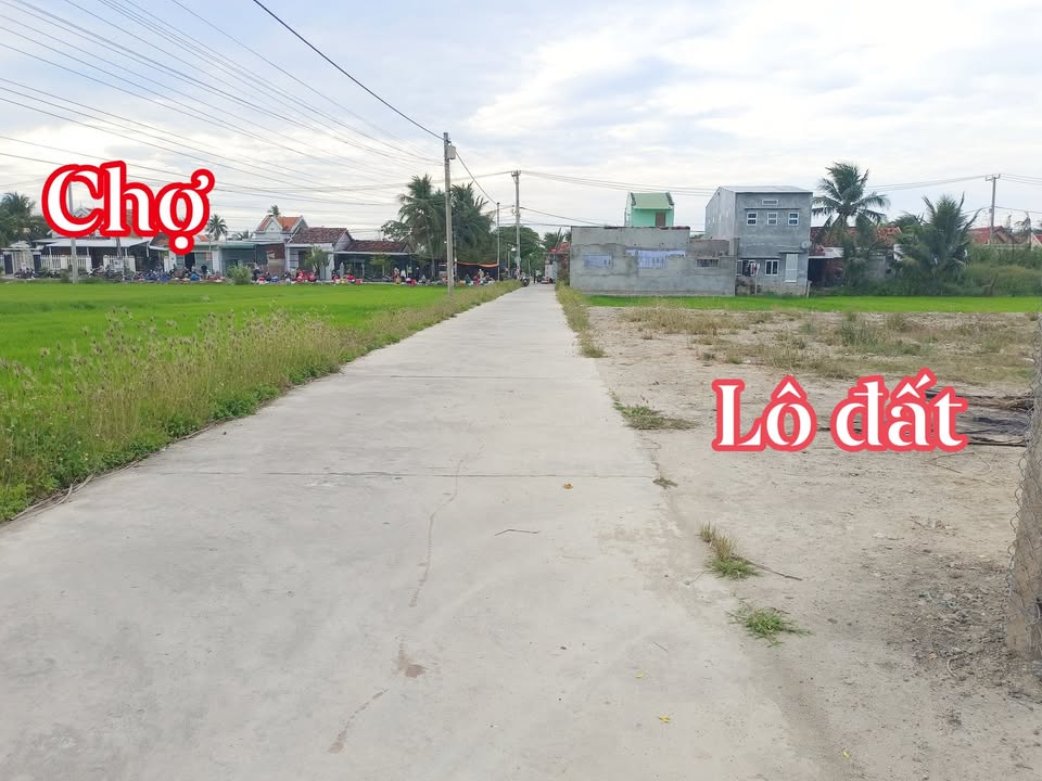 Đất nền Ninh Đa, Ninh Hòa 732m² - Sổ đỏ chính chủ