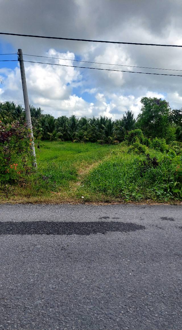 Đất nền Tiểu Cần, Trà Vinh 210m² - Tiềm năng tăng giá vượt trội!