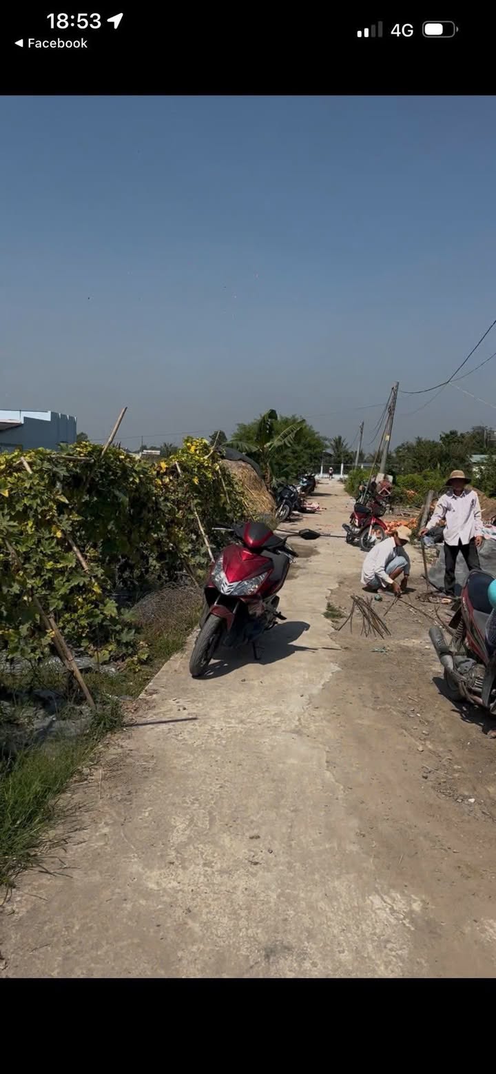 Đất nền Cần Giuộc 101m² - Sổ hồng chính chủ, tiềm năng tăng giá!