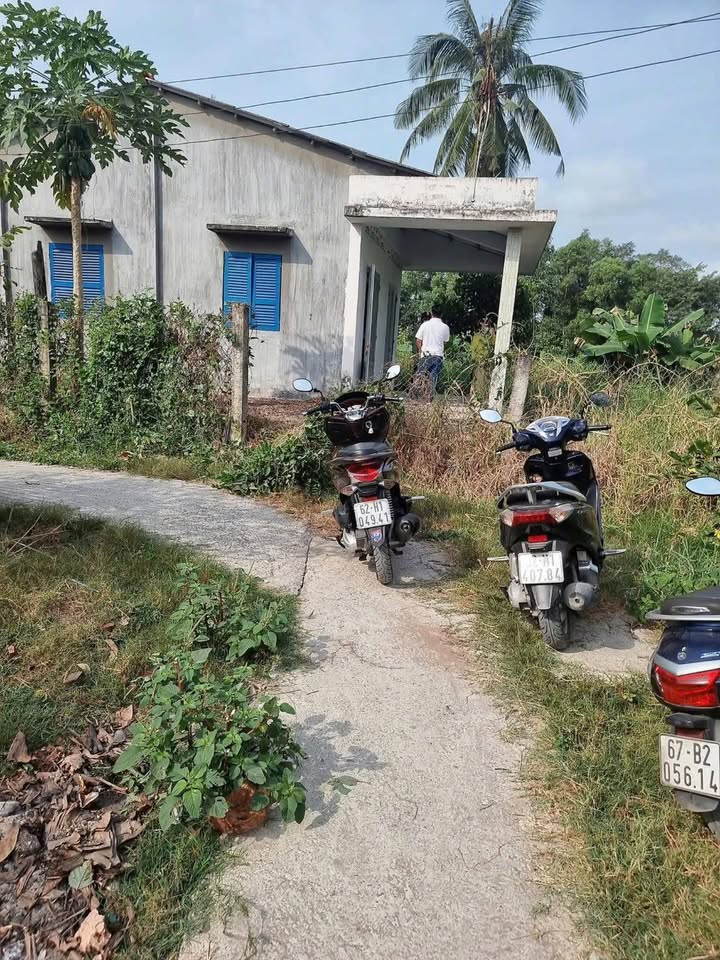 Bán Đất Vườn 500m² Kèm Nhà Cấp 4 Tân Phước Tây, Long An - 550 Triệu