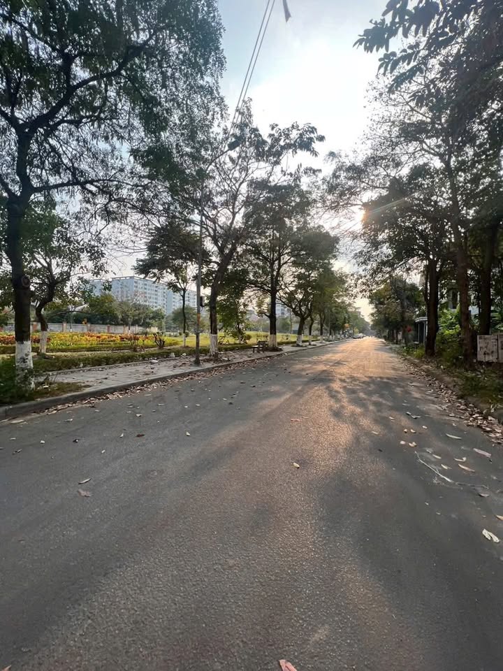 Đất nền Thành phố Từ Sơn 100m² - Sổ đỏ chính chủ, tặng nhà 1 tầng!