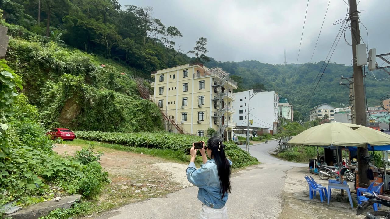 Đất Vàng Tam Đảo 332m² - Sổ Hồng Sẵn Sàng, Kinh Doanh Đắc Lợi 16.5 Tỷ