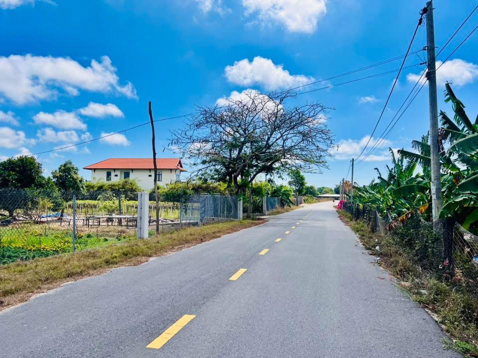 Đất nền Phước Hải 1473m² giá 6 tỷ - Tiềm năng tăng giá vượt trội!