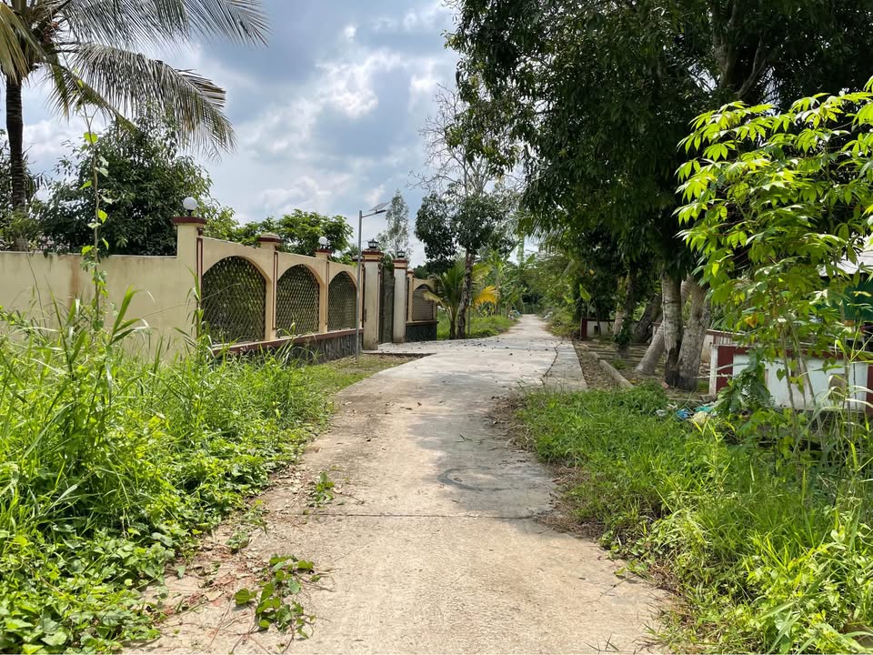 Đất nền Phong Điền Cần Thơ 2200m² - Ngang 18.5m - Giá 3.2tr/m²