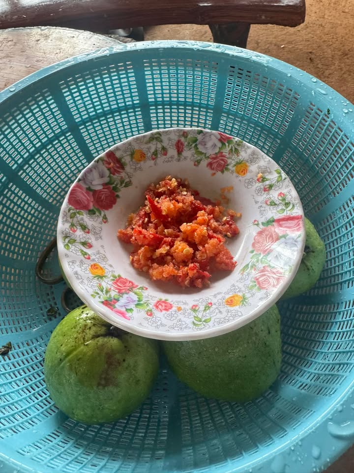 Bán Đất Quảng Tín Đắk Nông 350m² - Mặt Tiền Đường Đá Dăm 50m