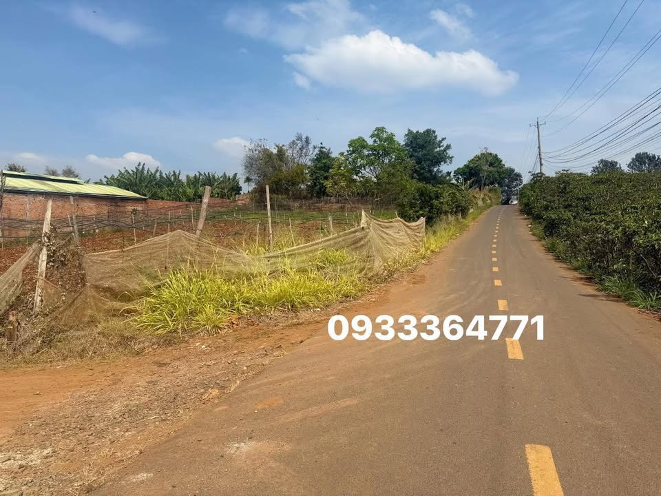 Đất MT đường nhựa Tuy Đức, Đắk Nông - 750m², giá từ 1.7 tỷ