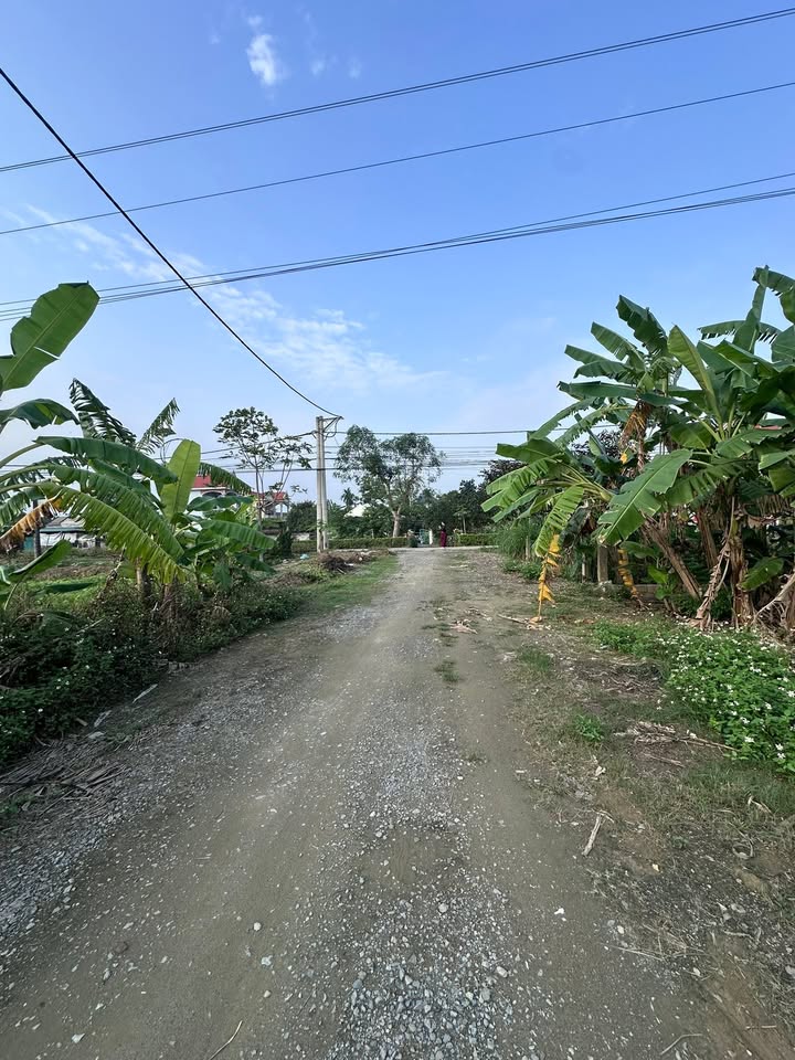 Đất nền Yên Phong, Thanh Hóa - 175m² Hướng Đông Nam - Giá 8xx Tỷ