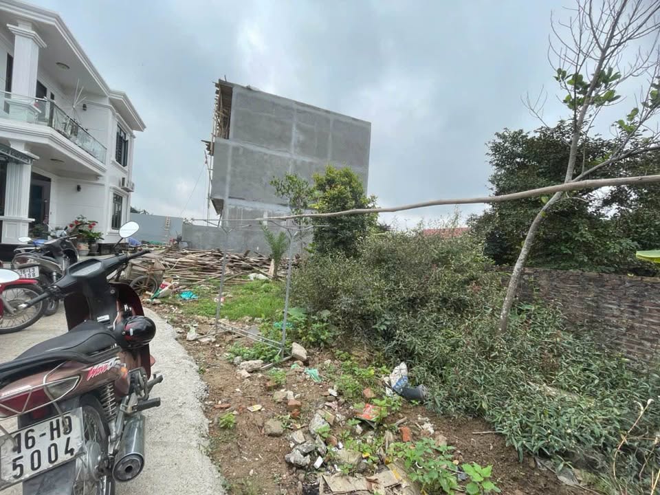 Bán Đất Nền An Hải, Hải Phòng 62m² - Sổ Đỏ Vuông Vắn, Giá Chỉ 9xx Triệu