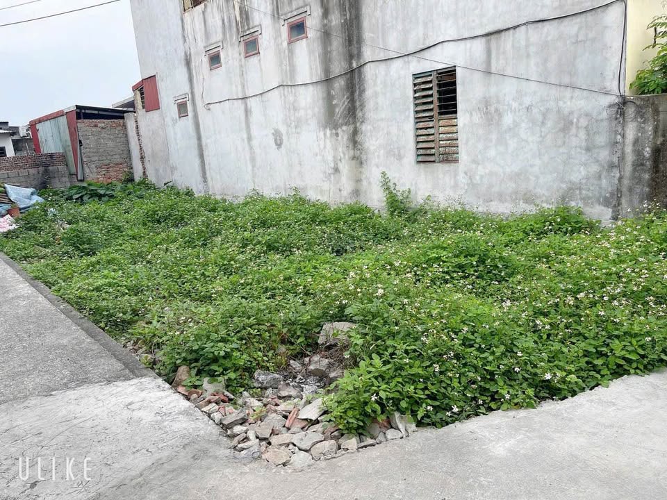 Bán đất Xuân La Thanh Sơn 99m² giá 7xx triệu - Sổ đỏ chính chủ