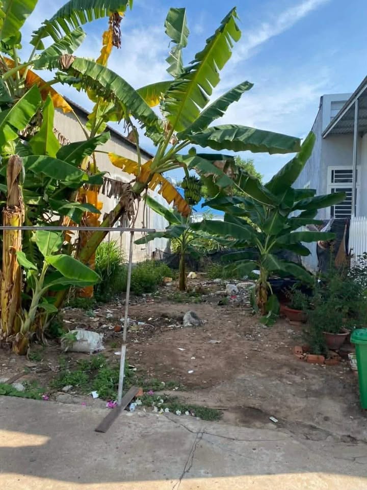 Đất nền TT. Gia Ray 180m² giá tốt - Sổ đỏ chính chủ sẵn sàng