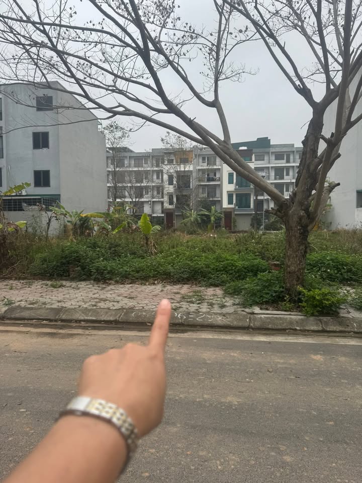 Lô đất TMS Phúc Yên 80m² – Sổ đỏ chính chủ, tiềm năng sinh lời!