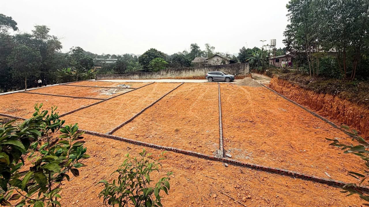 Đất nền Kim Long, Tam Dương 100m² chỉ từ 7xx triệu - Giá F0 CĐT!