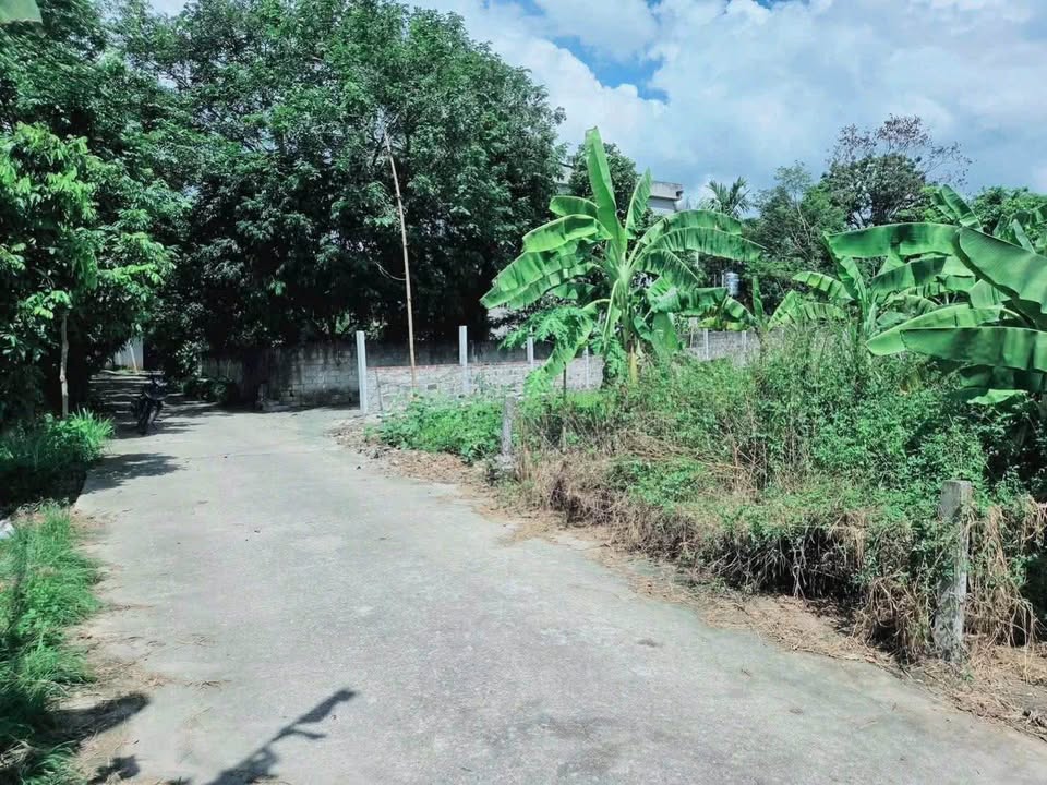 Đất nền Yên Chung, Tam Đảo 348m² - Sổ đỏ chính chủ, đường ô tô tránh!