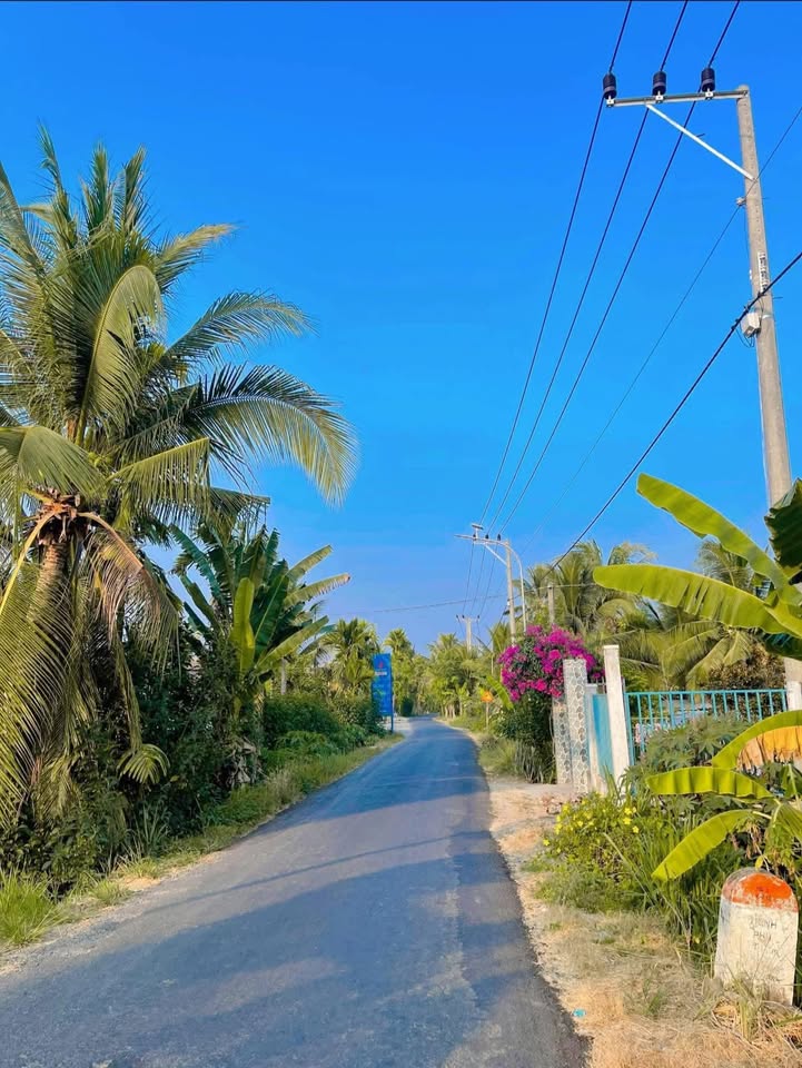 Đất nền Ấp 9, Tam Bình 410m² - Sổ đỏ chính chủ, giá tốt!