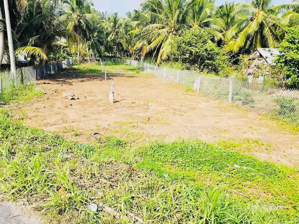 Bán Gấp 2 Nền Đất Mặt Tiền Tỉnh Lộ 909 Vĩnh Long - 196m² Giá 539 Triệu