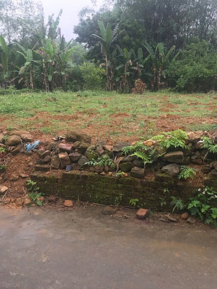 Đất nền 375m² Đại Từ, Thái Nguyên - Tiềm năng tăng giá vượt trội!