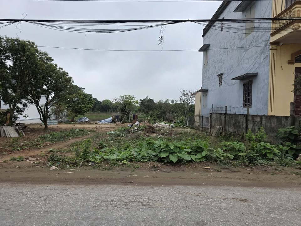 Đất nền Dân Chủ, Hưng Hà - 250m² Kinh doanh đắc lợi, Sổ đỏ sẵn sàng