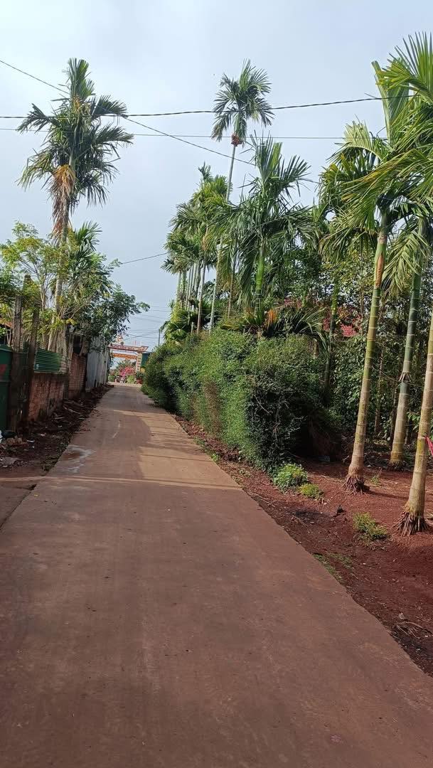 Đất nền Phú Xuân, Krông Năng 450m² - Sổ đỏ chính chủ, vị trí đắc địa!