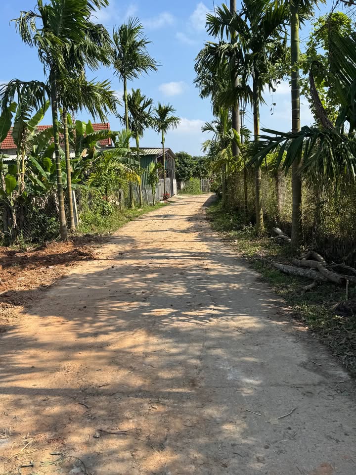 Đất nền 42m² Phường 5 Đông Hà - Đường to ô tô, sổ đỏ chính chủ!