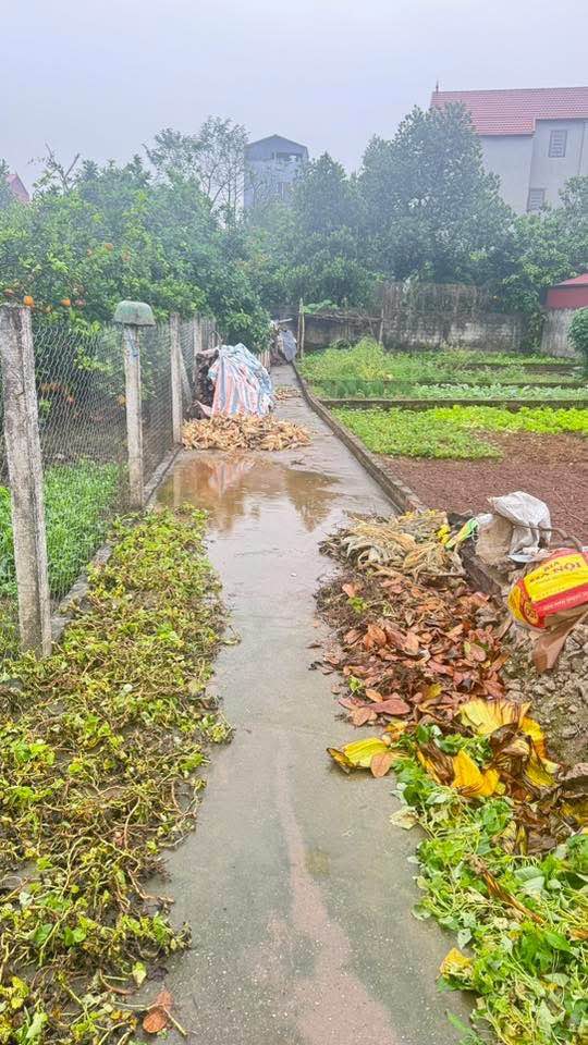 Bán đất Đan Phượng 41.5m² giá 2 tỷ - Ngõ thông, dân cư đông đúc