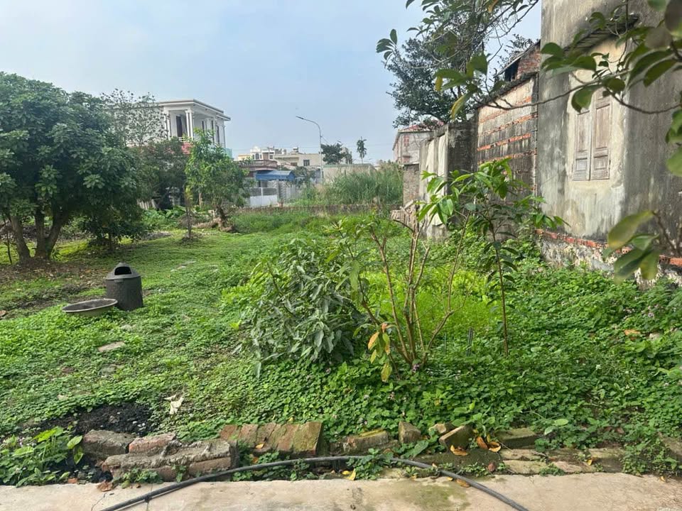 Đất nền Huyện Ứng Hòa 100m² - Tiềm năng tăng giá vượt trội!