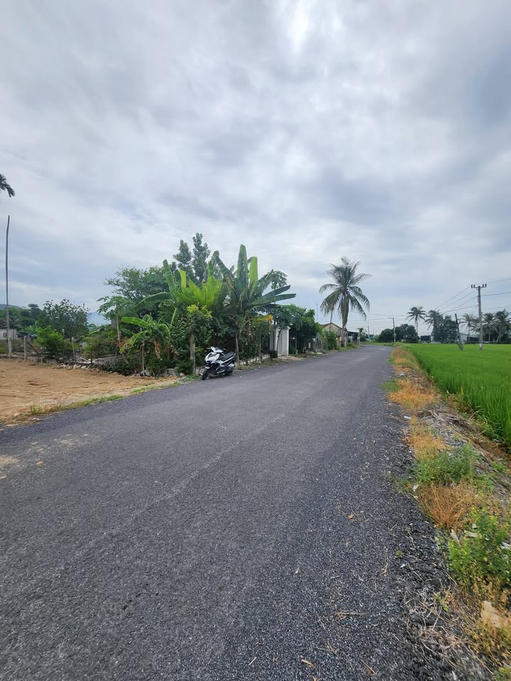 Lô Đất Cam Hải Tây 389m² - Đất thổ cư 100% sẵn sàng xây dựng!