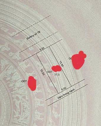 Đất nền Đường số 7B Long Xuyên 77.5m² - Tiềm năng tăng giá vượt trội!