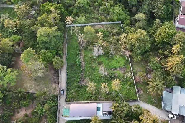 Đất nền Cửa Cạn Phú Quốc 2500m² - Pháp lý rõ ràng, sổ đỏ chính chủ