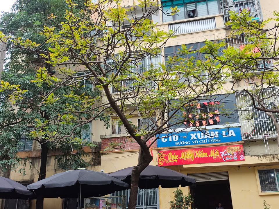 Căn hộ 48.5m² Xuân La, Tây Hồ - Giá tốt cho người ở thực