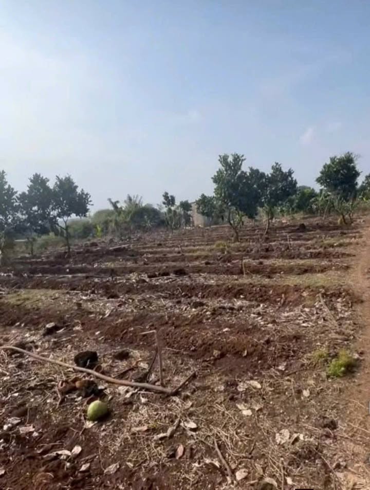 Đất nền Phú Thịnh Trảng Bom 4.700m² - Sổ đỏ chính chủ!