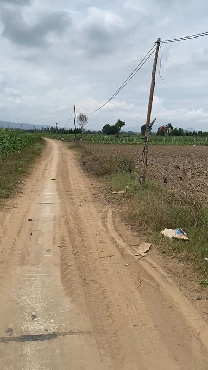 Đất Vườn Gia Lai 2160m² 600 Triệu - Tiềm Năng Tăng Giá Vượt Trội!