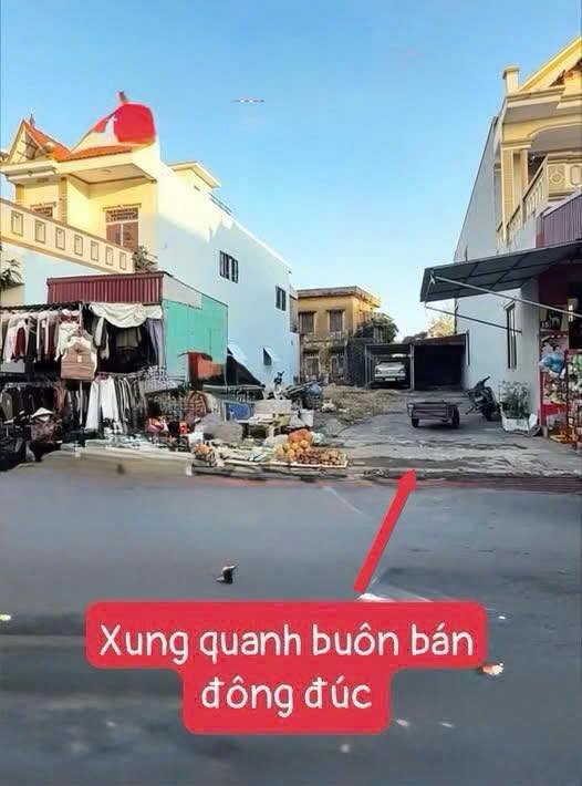 Bán Gấp Đất Trục Chính Kinh Doanh Thanh Oai 100m² - Sẵn Sàng Xây Dựng