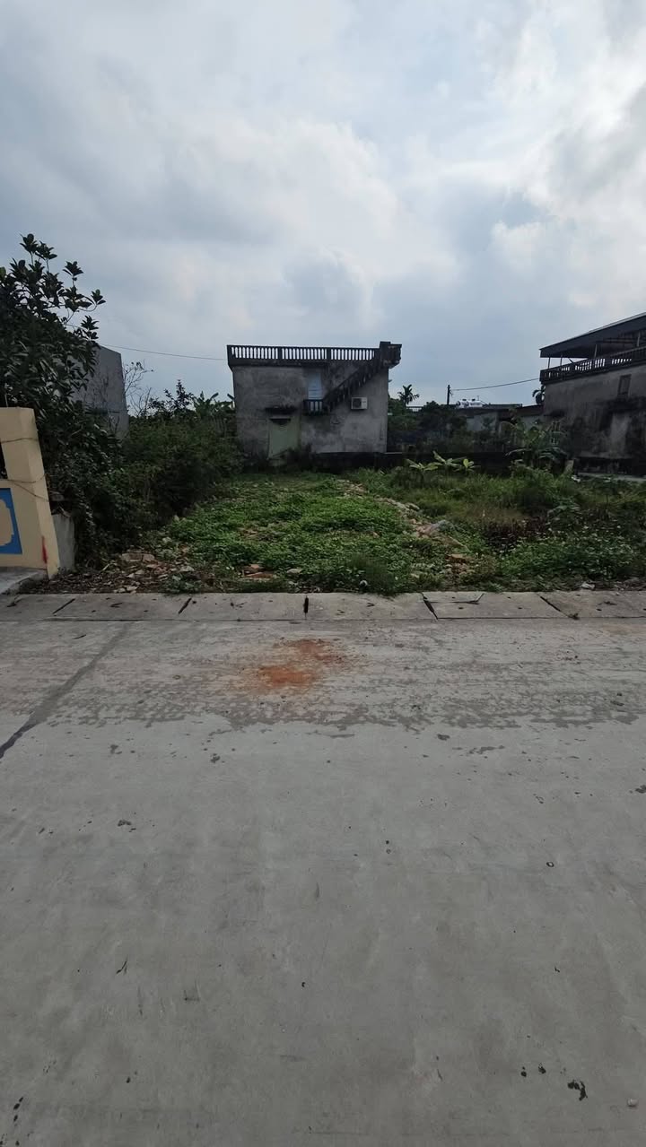 Đất nền Bồ Đề Bình Lục 101m² 1 tỷ - Sổ đỏ chính chủ