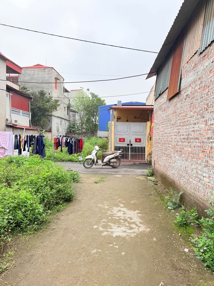 Đất nền Võng Xuyên, Phúc Thọ 40.2m² giá 1.7 tỷ - Sổ đỏ chính chủ!