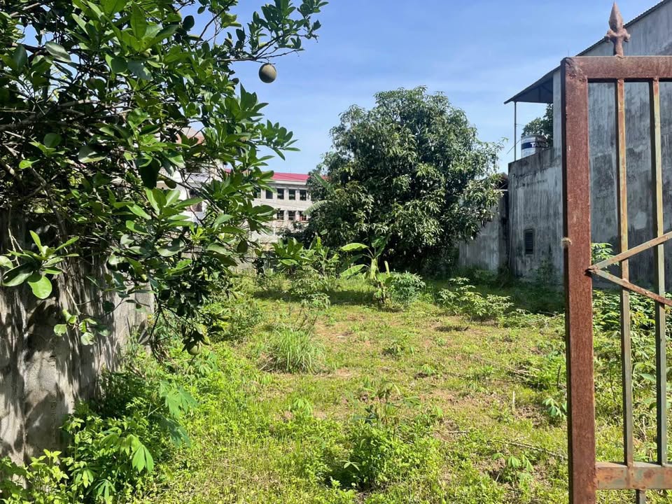 Đất nền Lâm Sơn, Lương Sơn 406m² - Sổ đỏ chính chủ, công chứng ngay!