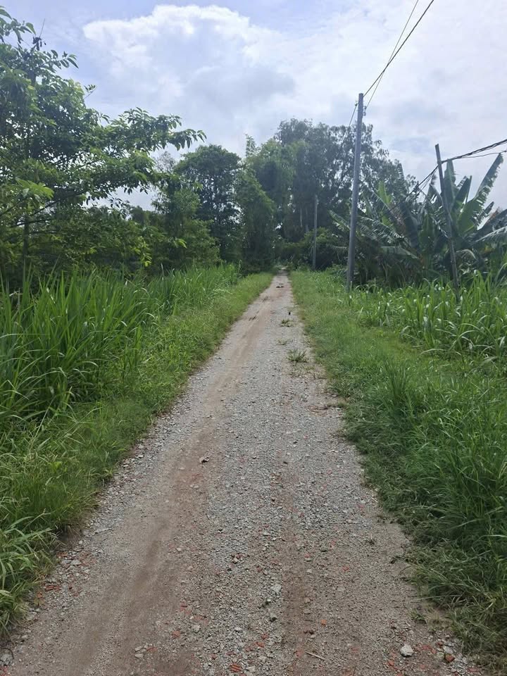 Bán đất vườn 4.6ha An Giang - Sẵn sàng đầu tư, mặt tiền kênh 80m