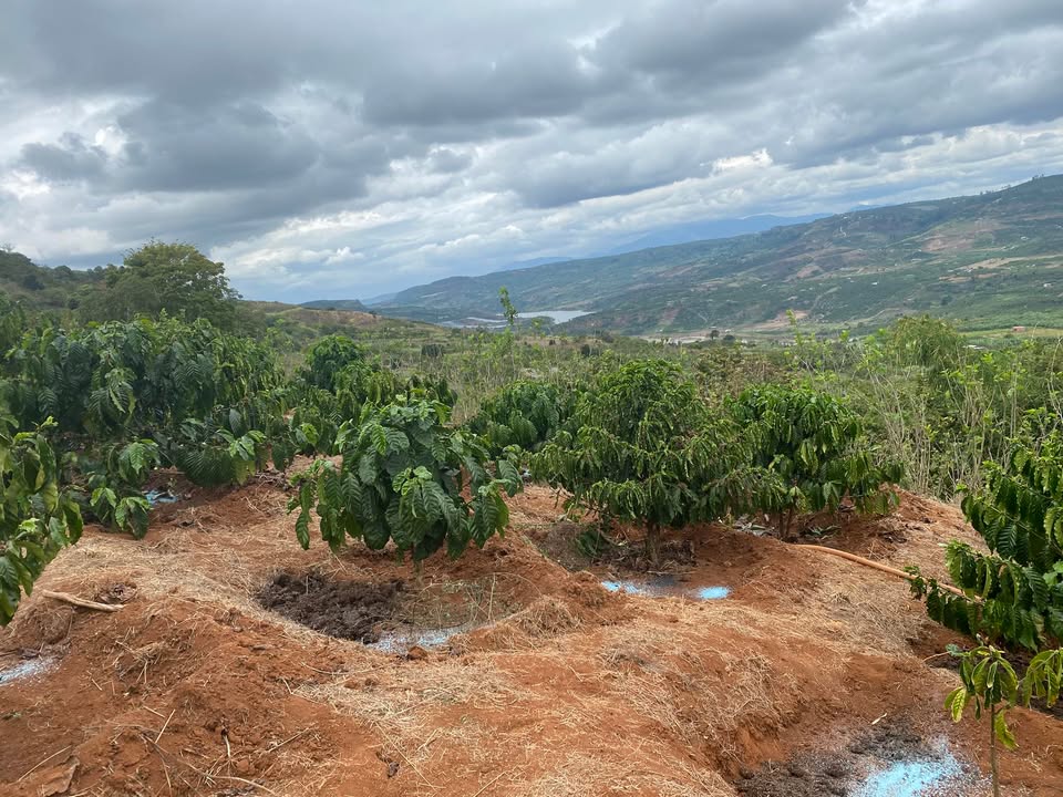 Đất nền Gia Hiệp, Di Linh 828m² - Tiềm năng tăng giá cực lớn!