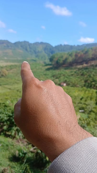 Đất nền Hòa Bắc, Di Linh 40.000m² - Tiềm năng tăng giá vượt trội!