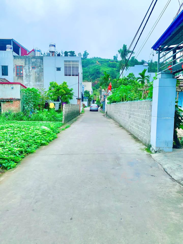 Đất nền An Lão 61.5m² giá 1 tỷ - Tiềm năng tăng giá!