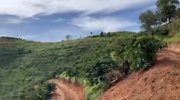 Đất Nông nghiệp Xã Phú Sơn Lâm Hà 2520m² - Sổ đỏ chính chủ!